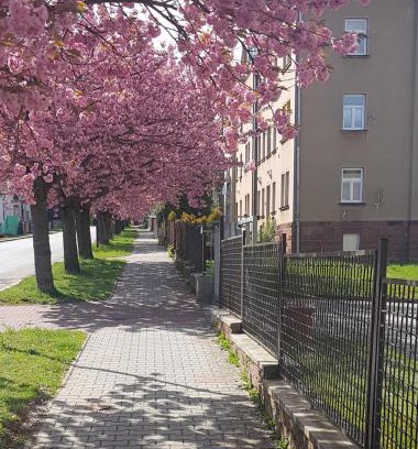 Nova Paka Apartment | Apartmán Kumburská - Nová Paka