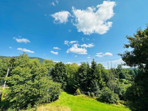 Horni Vltavice Apartment | Apartmán pod Boubínem