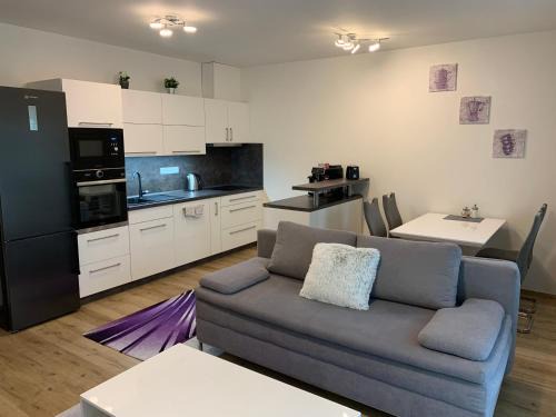 Horni Marsov Apartment | Apartmán s vyhlídkou