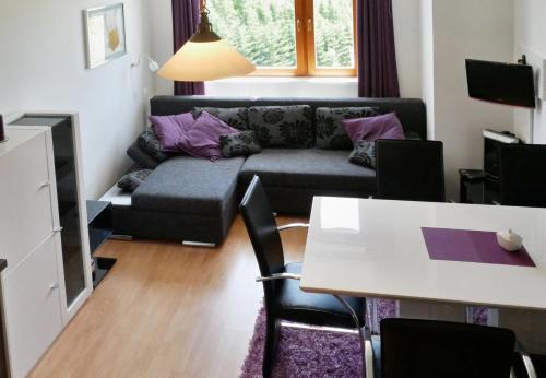 Ostruzna Apartment | Apartmán U Sjezdovky