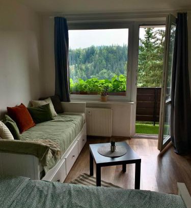 Janske Lazne Apartment | Apartmánek Protěž