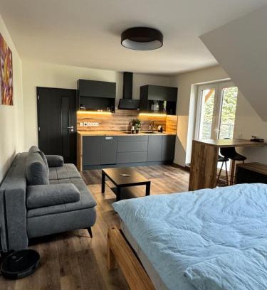 Vrbno pod Pradedem Apartment | ApartmányVrbno Relax