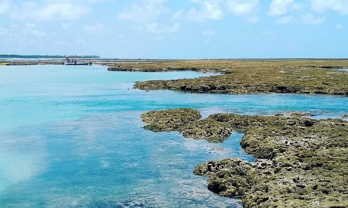 Sao Jose da Coroa Grande Apartment | Apartment Ocean Front, near Maragogi, with wireless internet in the AP.