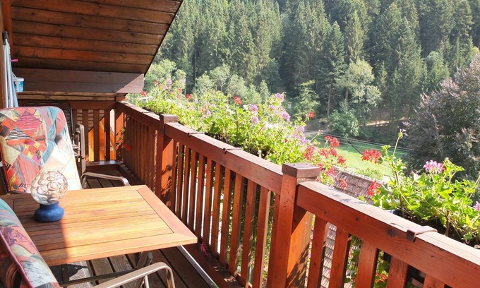Bad Rippoldsau-Schapbach Apartment | Apartment 'Talblick' with Shared Garden, Balcony and Wi-Fi