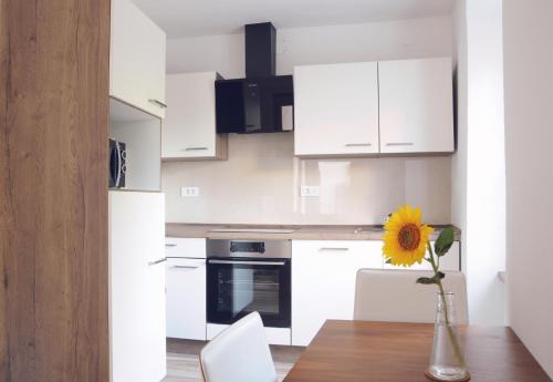 Slap Apartment | APARTMA KMETIJA ROVAN