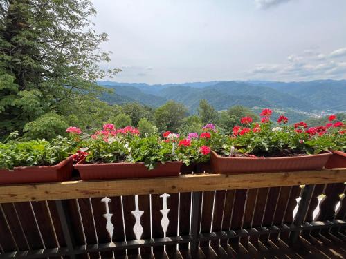 Idrija Apartment | Apartma Mohorič