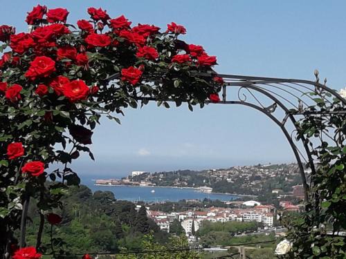 Seca Apartment | APARTMA SEA VIEW