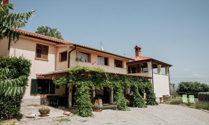 Gazon Apartment | Apartmaji Pajer