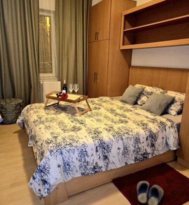 Pozarevac Apartment | Apartman 77