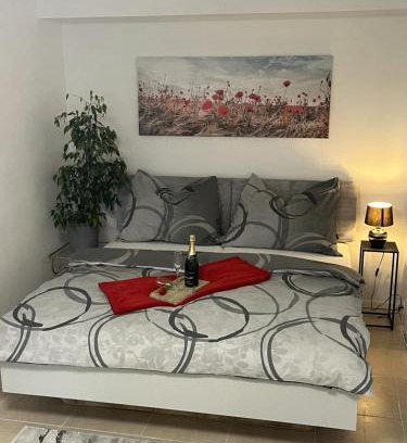 Siluvky Apartment | Apartman Collie