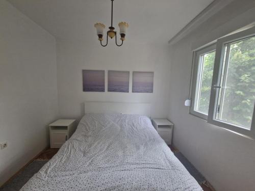 Donji Milanovac Apartment | Apartman Mamut