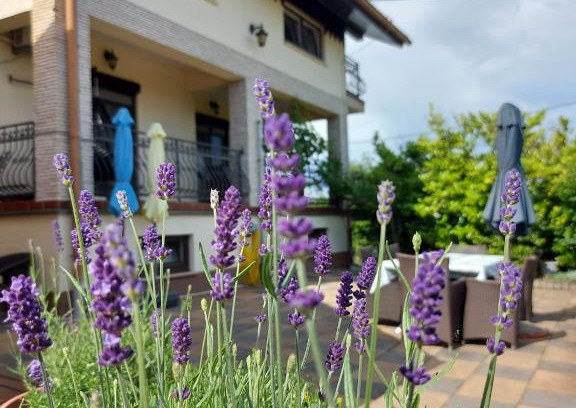 Cvetkovic Apartment | Apartman Nada