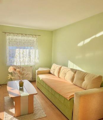 Arilje Apartment | Apartman Rosić