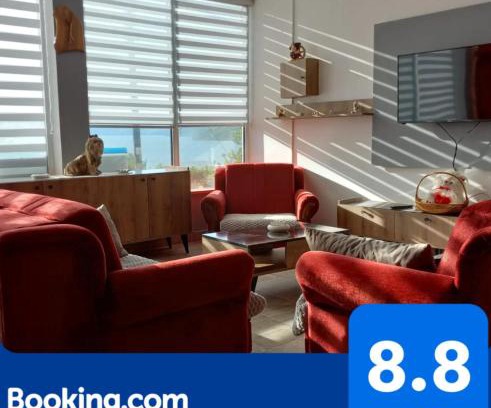 Donji Milanovac Apartment | Apartman SANI