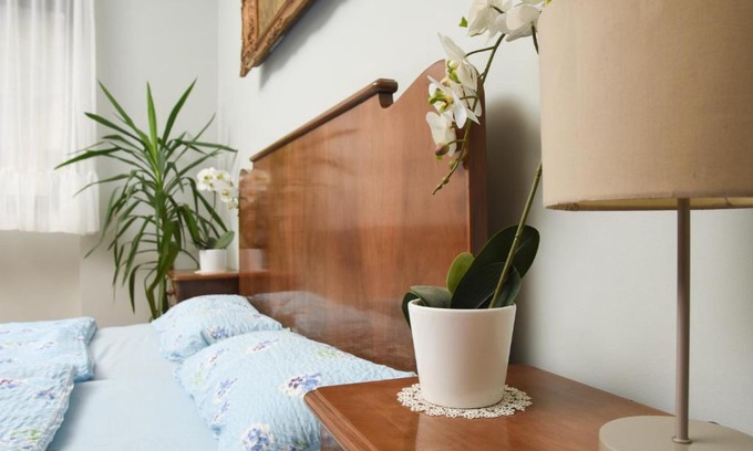 Senta Apartment | Apartman Woolf