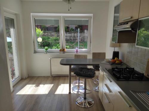 Zagreb Apartment | Apartman ZAGREB,REBRO,MAKSIMIR,CENTAR Marko