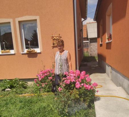 Sjenica Apartment | Apartmani ,Bato,