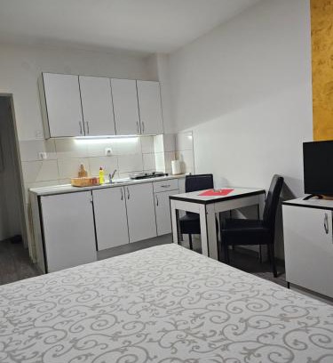 Loznica Apartment | Apartmani Borko 3-1