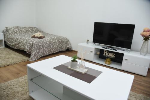 Loznica Apartment | Apartmani Sofronic Loznica 1
