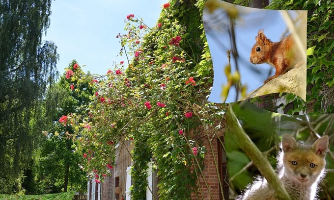 Saint-Maclou-de-Folleville Apartment | Apartment Varneville-Bretteville, studio flat, 2 persons