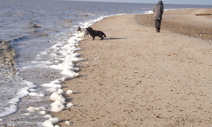 Rosenkranz Apartment | Apartment also with dog, 90sqm