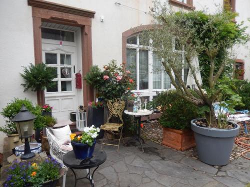 Osann Apartment | Apartment Altes Winzerhaus
