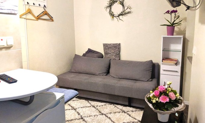 Feyen-Weismark Apartment | Apartment Bina 5min to the Moselle