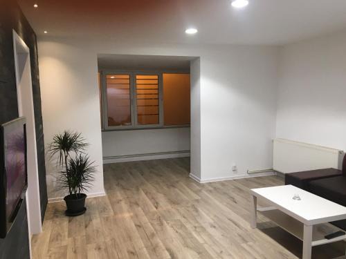 Pitesti Apartment | Apartment City Center