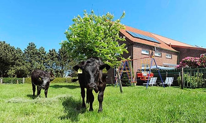 Westerholt Other | Apartment - Ferienhof Janssen