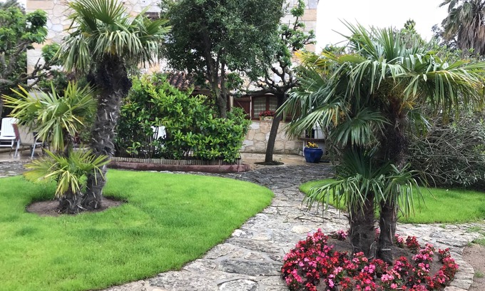 Porto-Vecchio Apartment | apartment/flat - PORTO-VECCHIO