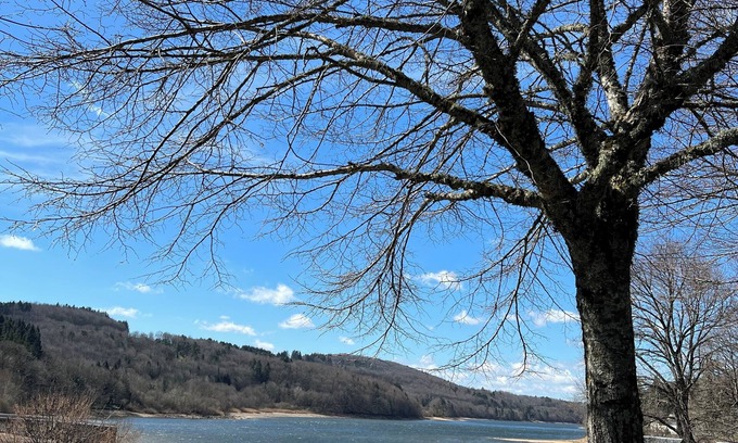 La Salvetat-sur-Agout Apartment | Apartment "B" for 5 people 200 m from Lac de la Raviège