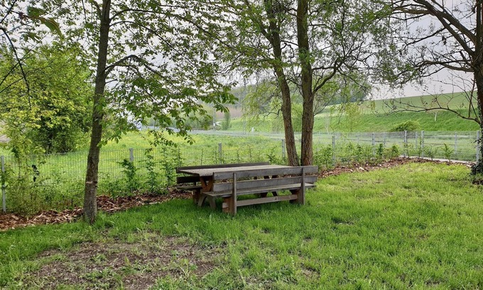 Bad Rappenau Apartment | Apartment Freunde WG, 105sqm, 4 bedrooms, max. 8 persons