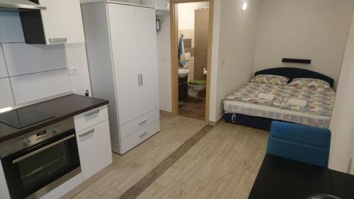 Cezarji Apartment | Apartment Grosek