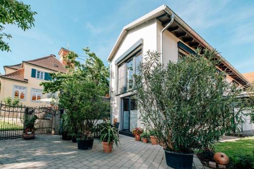 Weigenheim Apartment | Apartment im Weinparadies