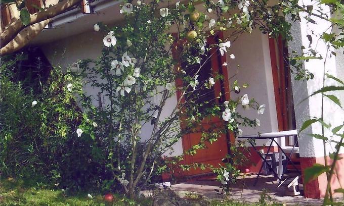 Chemnitz Apartment | Apartment in a green idyll on the edge of Chemnitz