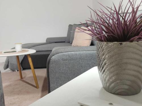Mukinje Apartment | Apartment Iskra - One bedroom apartment