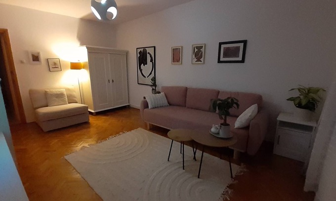 Tirgu Mures House | Apartment Karin