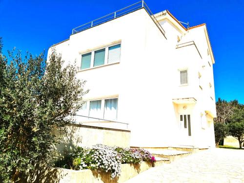 Pag Apartment | Apartment Karlo - city center
