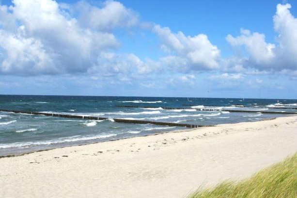 Ostseebad Prerow Apartment | Apartment Lemke