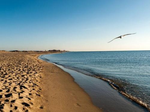 Les Arenes Apartment | Apartment Les Voiliers Canet-en-Roussillon