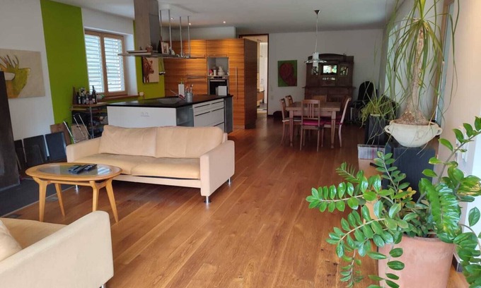 Lustenau Apartment | Apartment 'Loft Mit Kamin Und Whirlpool' with Private Terrace, Private Garden and Wi-Fi