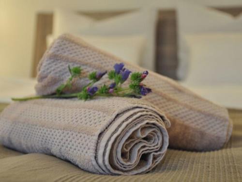 Stuhlinger-Eschholz Apartment | Apartment Mida
