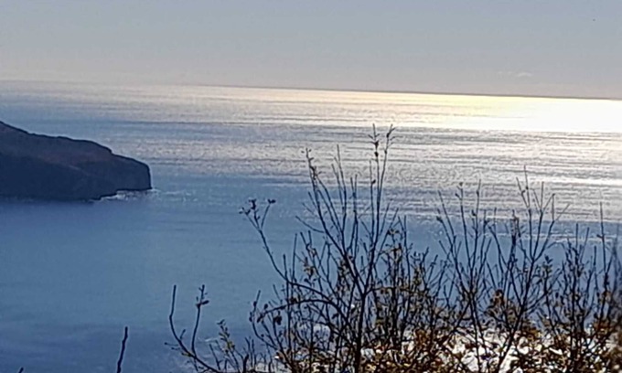 Pisciotta Apartment | Apartment 'Mimosa' with Sea View, Wi-Fi and Air Conditioning