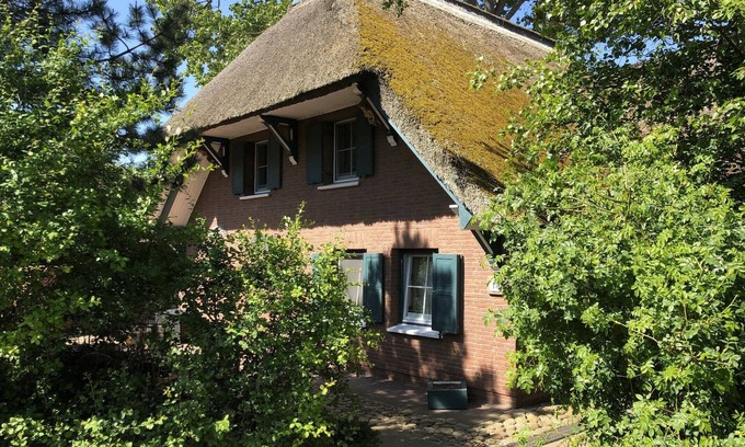 Ostseebad Ahrenshoop Apartment | Apartment "Morgensonne" - on the upper floor approx. 55 m² for 2-4 persons