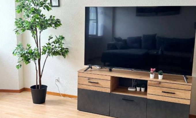 St. Gallen Apartment | Apartment no. 9 tas24