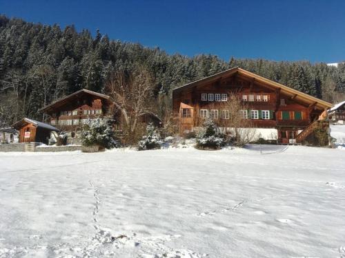 Zweisimmen Apartment | Apartment Obegghuus by Interhome