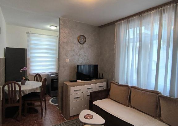 Pluzine Apartment | Apartment ONE