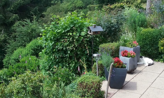 Hofen Apartment | Apartment "Perlenbachtal" with Mountain View & Wi-Fi