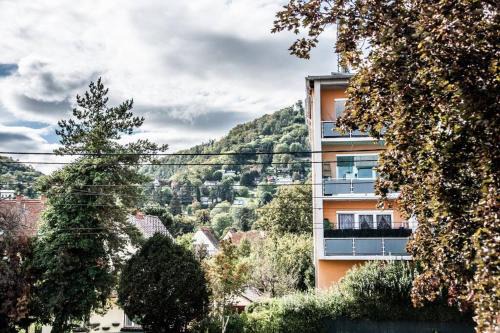 Eggenberg Apartment | Apartment PourinGraz für Kunst- und Tennisliebhaber