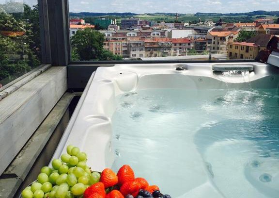 Benesov Apartment | Apartment Pulse Fitness